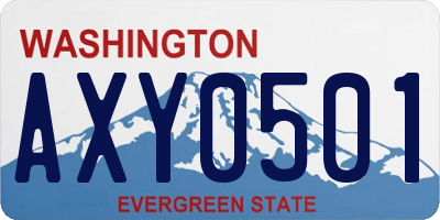 WA license plate AXY0501