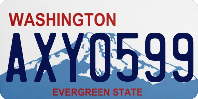 WA license plate AXY0599