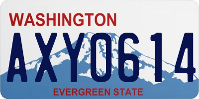 WA license plate AXY0614
