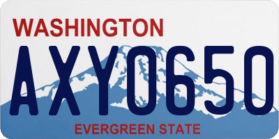 WA license plate AXY0650