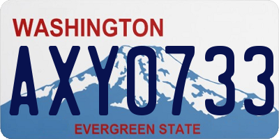 WA license plate AXY0733