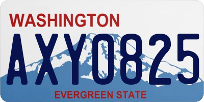 WA license plate AXY0825