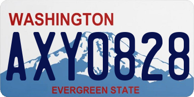 WA license plate AXY0828