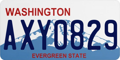 WA license plate AXY0829