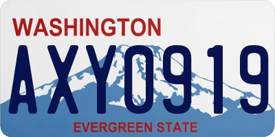 WA license plate AXY0919