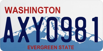 WA license plate AXY0981