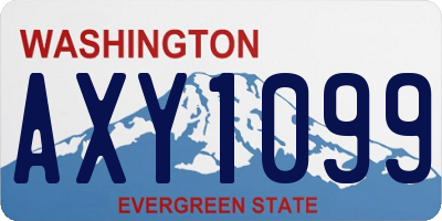 WA license plate AXY1099