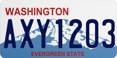 WA license plate AXY1203