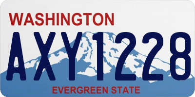 WA license plate AXY1228
