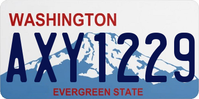WA license plate AXY1229