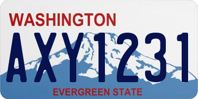 WA license plate AXY1231