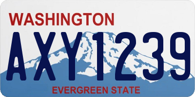 WA license plate AXY1239