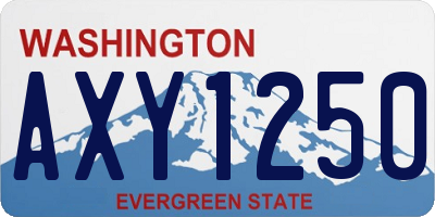 WA license plate AXY1250