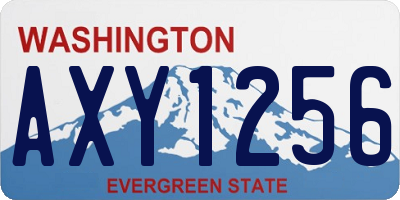 WA license plate AXY1256