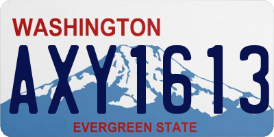 WA license plate AXY1613