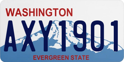 WA license plate AXY1901