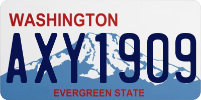 WA license plate AXY1909