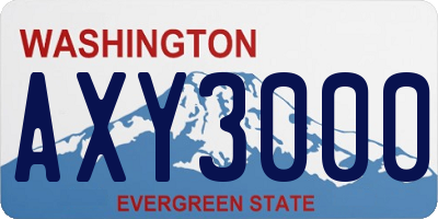 WA license plate AXY3000