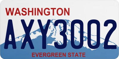 WA license plate AXY3002