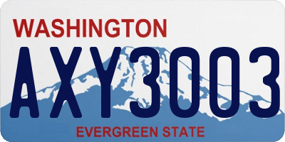 WA license plate AXY3003
