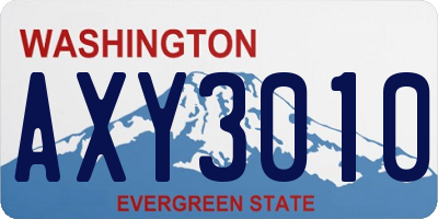 WA license plate AXY3010