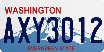 WA license plate AXY3012
