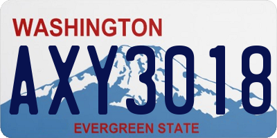 WA license plate AXY3018