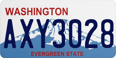 WA license plate AXY3028