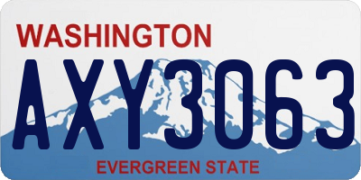 WA license plate AXY3063