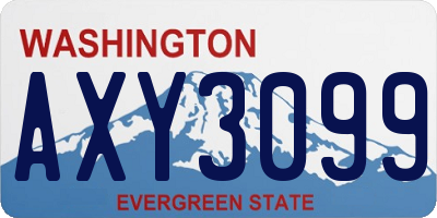 WA license plate AXY3099