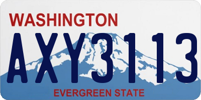 WA license plate AXY3113