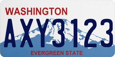 WA license plate AXY3123