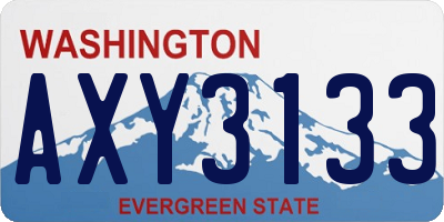 WA license plate AXY3133