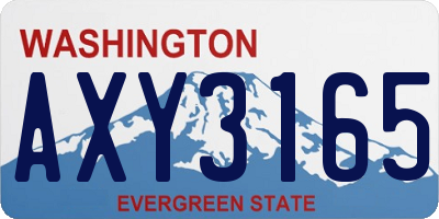 WA license plate AXY3165
