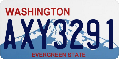 WA license plate AXY3291