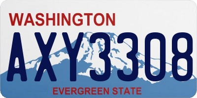 WA license plate AXY3308