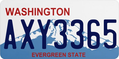 WA license plate AXY3365