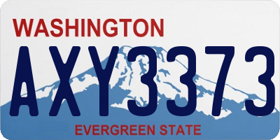 WA license plate AXY3373