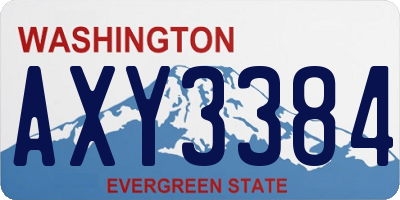 WA license plate AXY3384