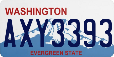 WA license plate AXY3393