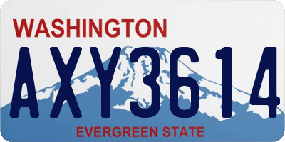 WA license plate AXY3614