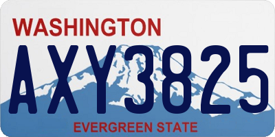 WA license plate AXY3825