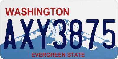 WA license plate AXY3875