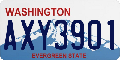 WA license plate AXY3901