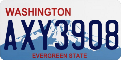 WA license plate AXY3908