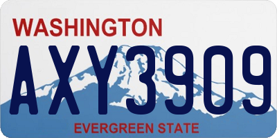 WA license plate AXY3909