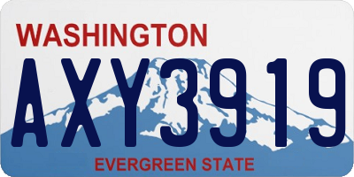 WA license plate AXY3919