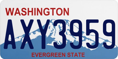 WA license plate AXY3959