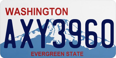 WA license plate AXY3960