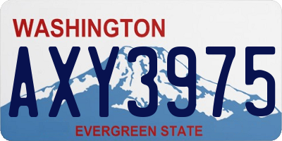 WA license plate AXY3975